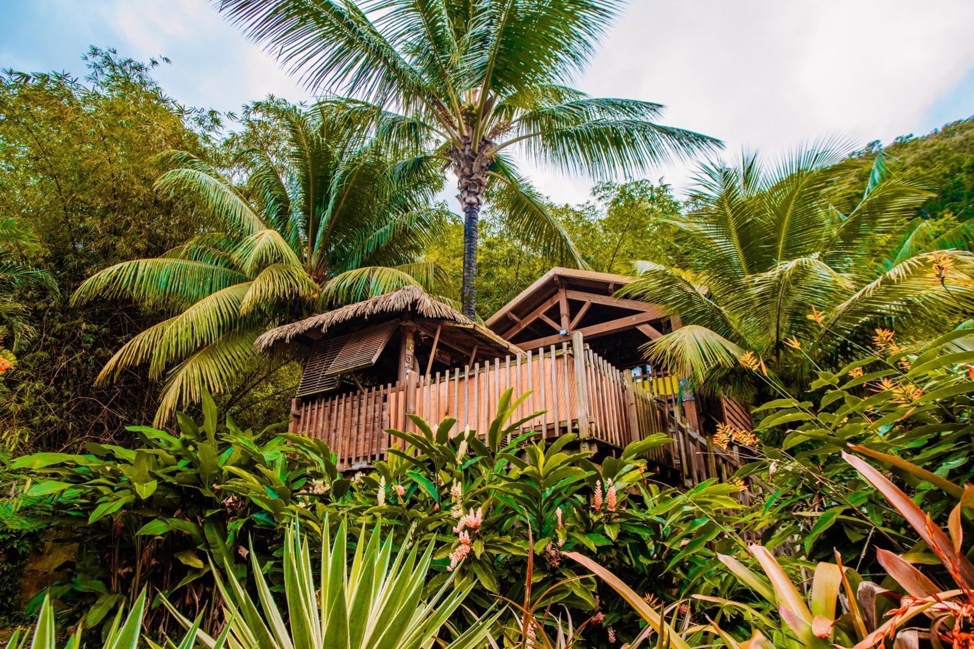 West Indies Cottage Pointe-Noire Eksteriør billede